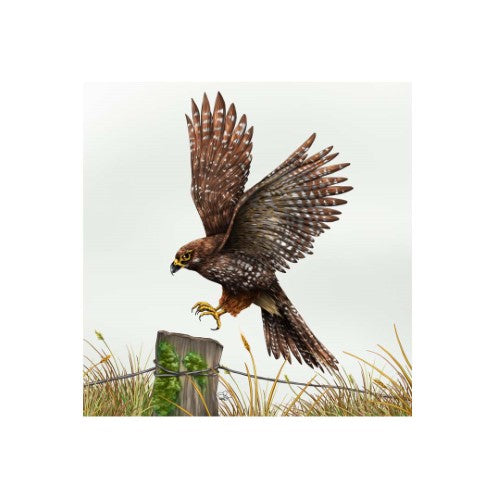 Sophie Blokker Kiwiana 3D Textured Square Ceramic Tile / Wall hanging  - Falcon - CLEARANCE PRICE