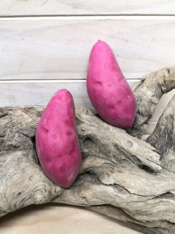 Artificial - Red Kumara