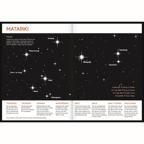 Tuhi Diary A41 Day Per Page Premium Rataka Black & Gold 2026