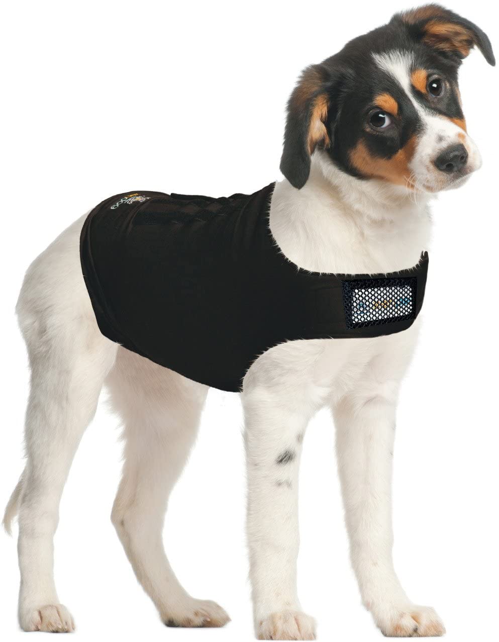 Dog - Zendog Compression Shirt Lge