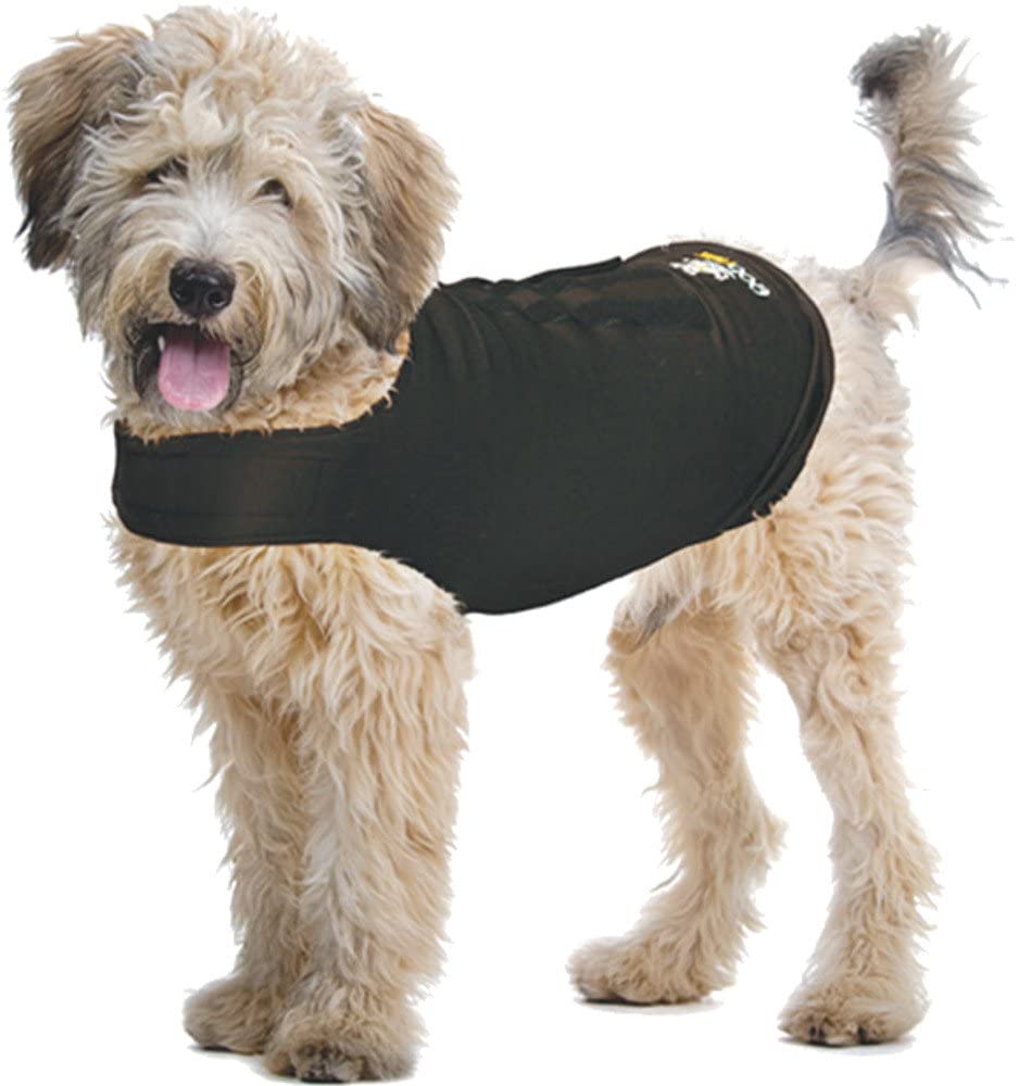 Dog - Zendog Compression Shirt Lge