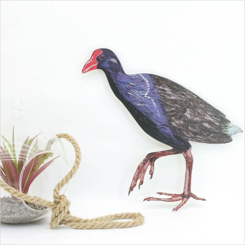 Kiwiana Wall Art - Pukeko looking left - Birds Wall Art