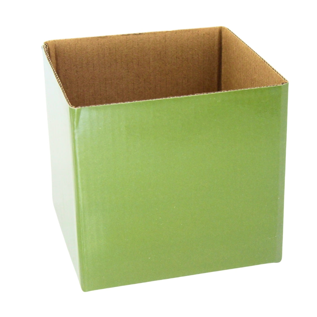 Posy Box Mixed Colours Pack of 25.  - Hot pink Yellow Violet Moss and Orange.