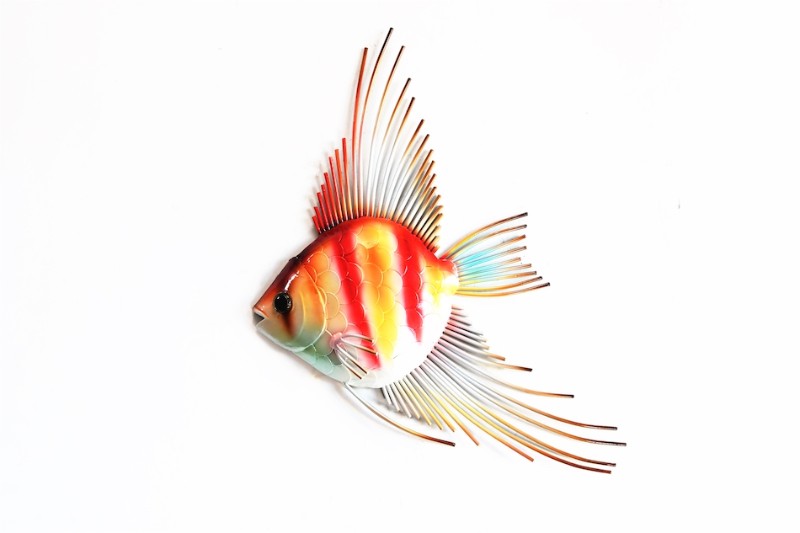 Angel Fish - Peppermint - Red And Yellow - CLEARANCE PRICE