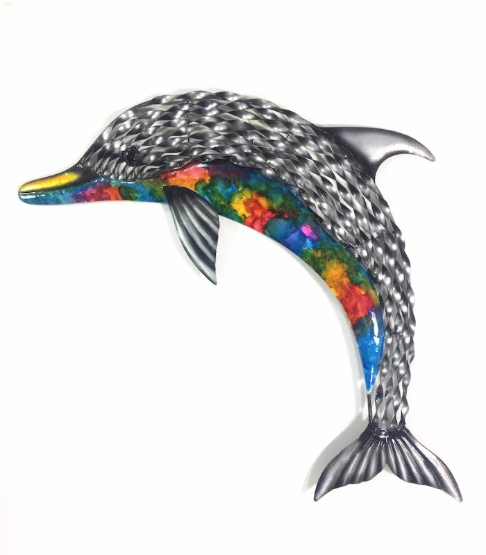 Dolphin - Rainbow