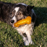 Dog Toy - KONG Squeezz Crackle Bone Med