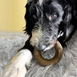Dog Toy - KONG Bamboo Rockerz Ring XS/Small