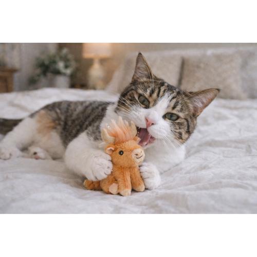 Highland Cow for Cats 12cm