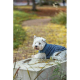 Dog Clothing - Ajou Coat M: 45cm Blue