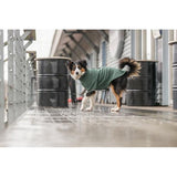 Dog Clothing - Amsterdam Sweatshirt S: 36cm Dark Green