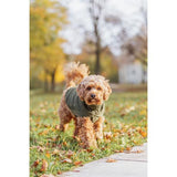 Dog Clothing - Norwood Pullover XS: 30cm Olive Green