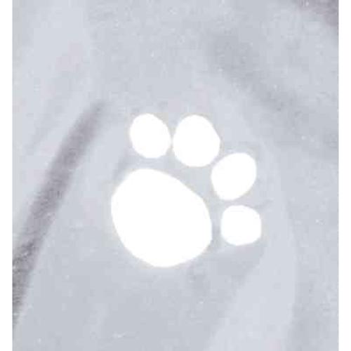 Dog Clothing - Tarbes Raincoat M: 50cm Transparent