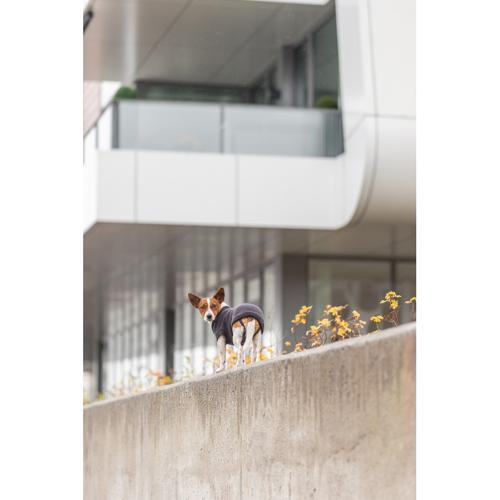Dog Clothing - Berlin Pullover L: 55cm Anthracite