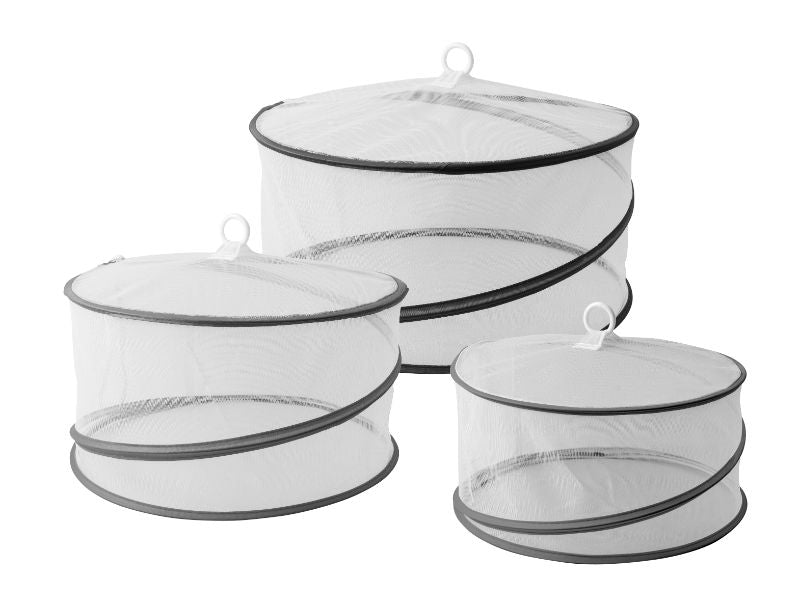 Avanti Pop Up Food Covers