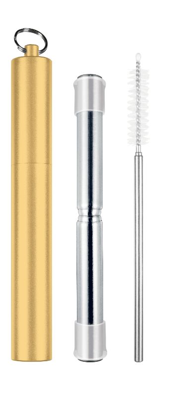 Avanti Telescopic Travel Straw Champagne