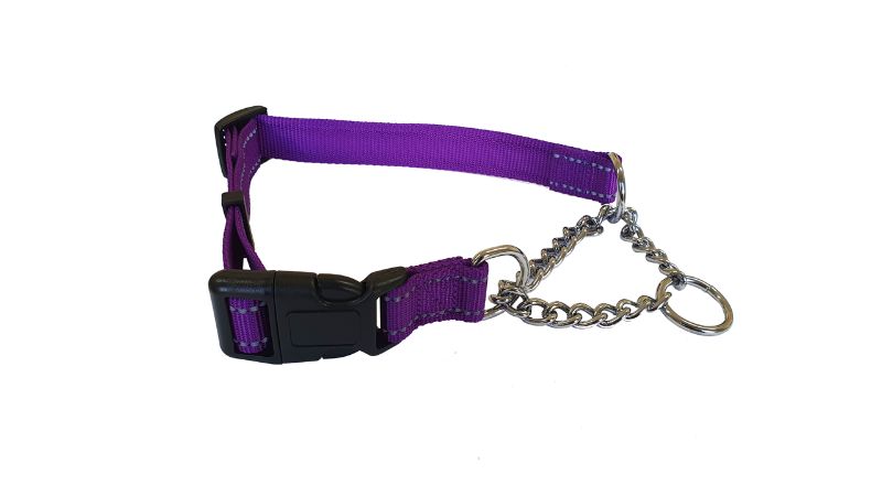 Dog Collar - Martingale Refl 20mm x 35-50cm (Purple)