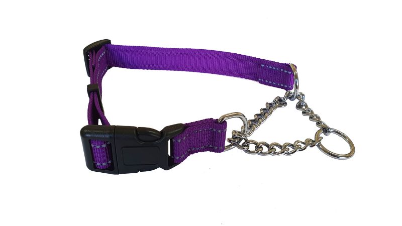 Dog Collar - Martingale Refl 25mm x 50-70cm (Purple)