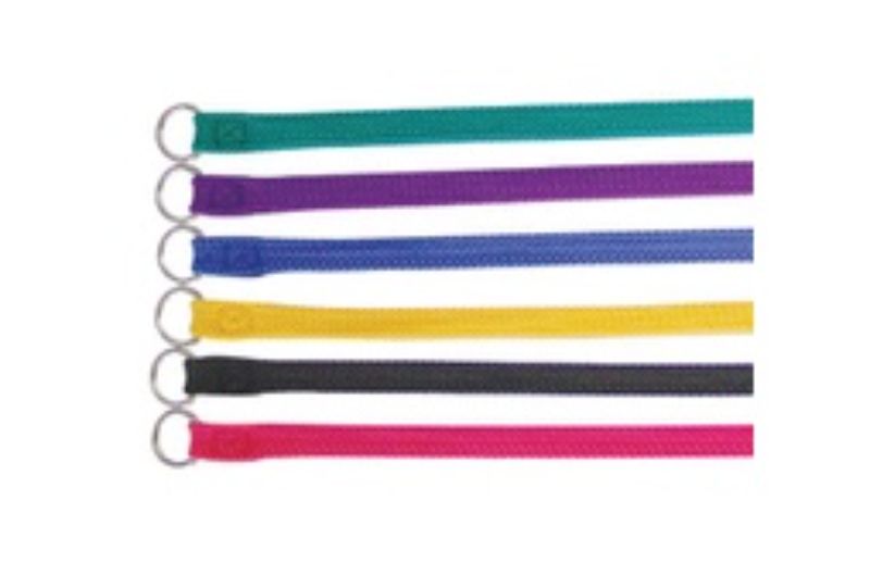 Dog Lead - Nylon Slip Lead 20mm x 180cm (Red)