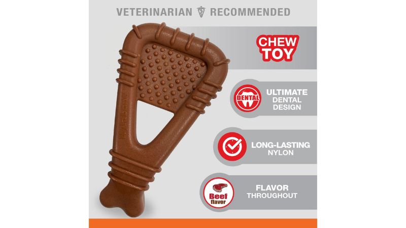 Dog Toy - Nylabone Dental Arch Bone