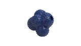 Dog Toy - Dental Crazy Ball