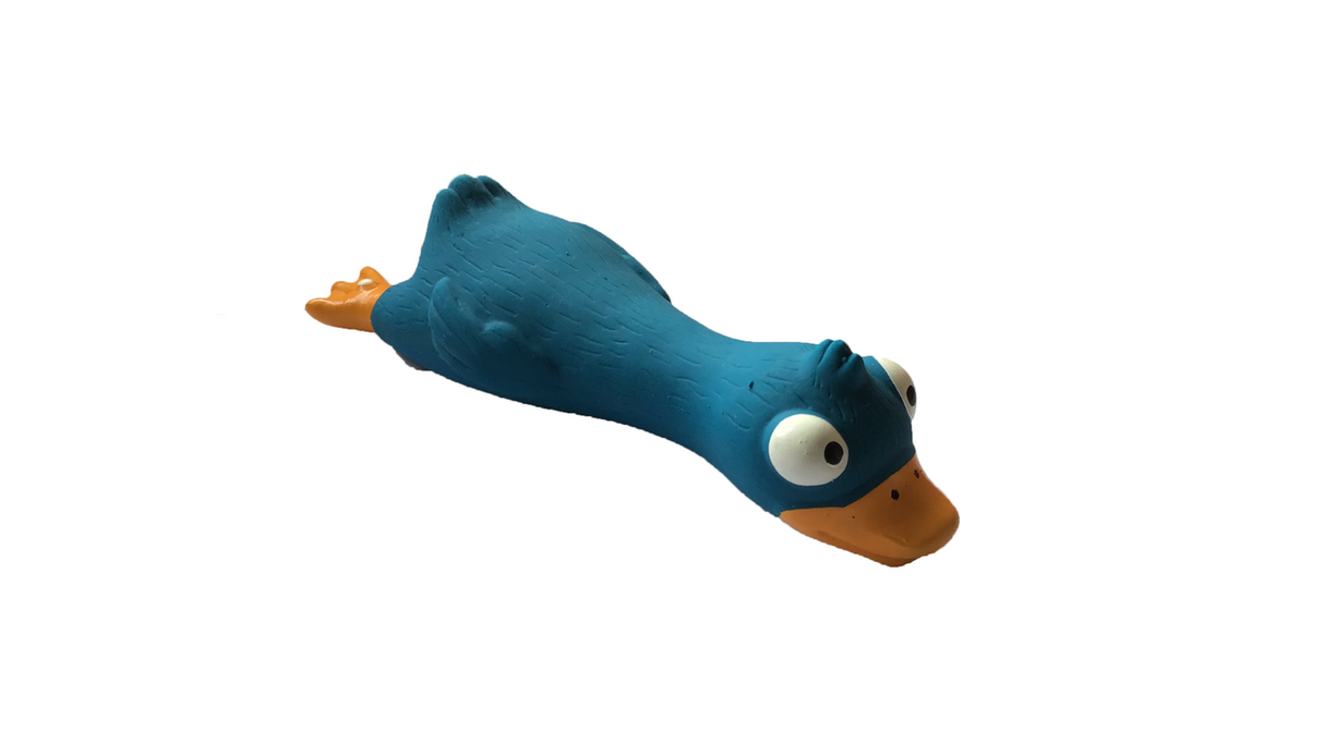 Latex Dog Toy - Squeaky Duck (17cm)