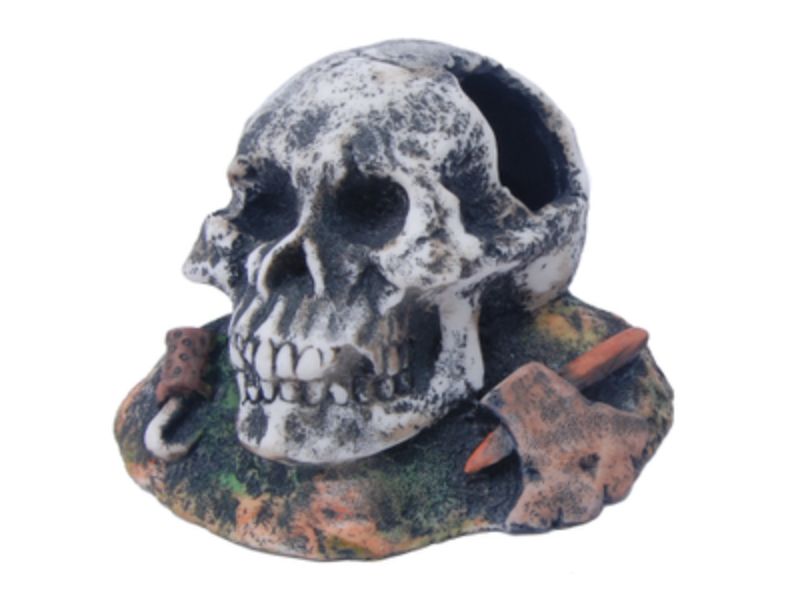 Aquarium Ornament - Skull with Hole