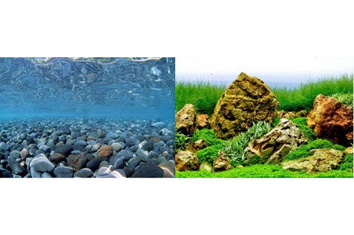 Aquatic Background Precut - River Rock / Sea of Green