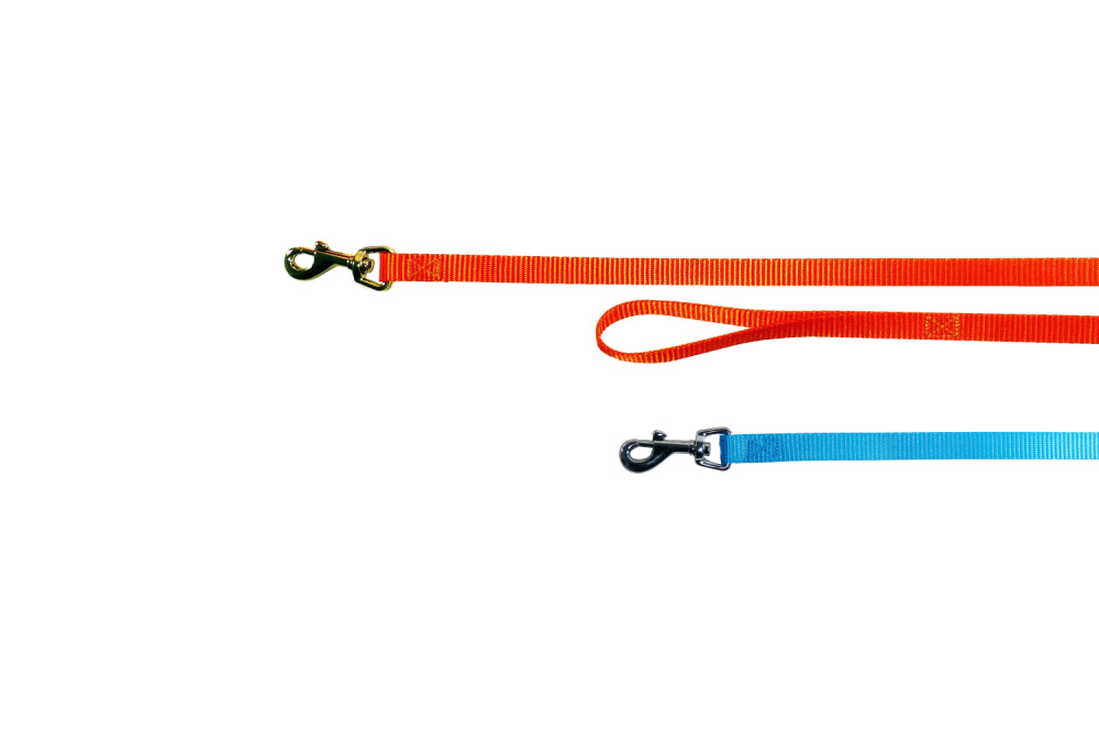 Dog Lead - Nylon Vet Clinic Lead with Snap 120cm - Orange/Aqua15mm