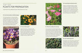 Kew Answers for Everyday Gardeners