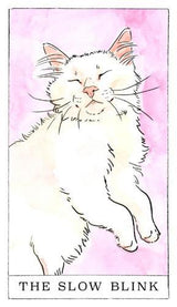 Kitten Oracle