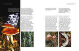 The Fascinating World of Fungi