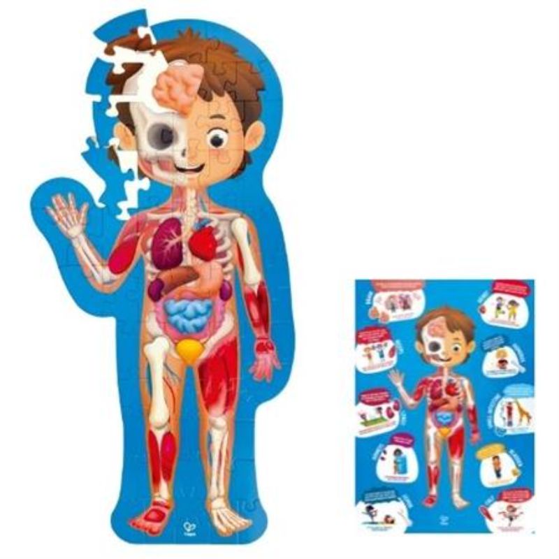 Puzzle - Hape Human Body (50pcs)