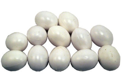 Bird - Nest Egg Pigeon 30mm   - 12pk