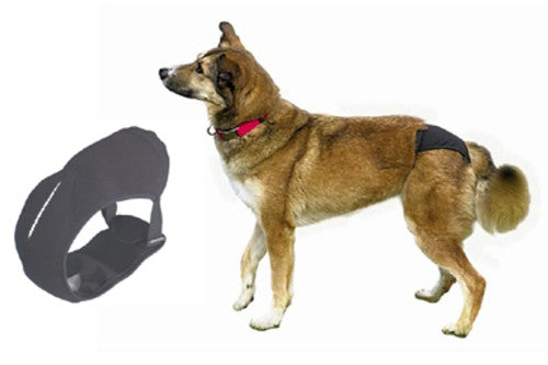 Protective Dog Pants 20-25cm - XS