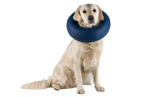 Dog Collar - Protective Collar Inflatable M