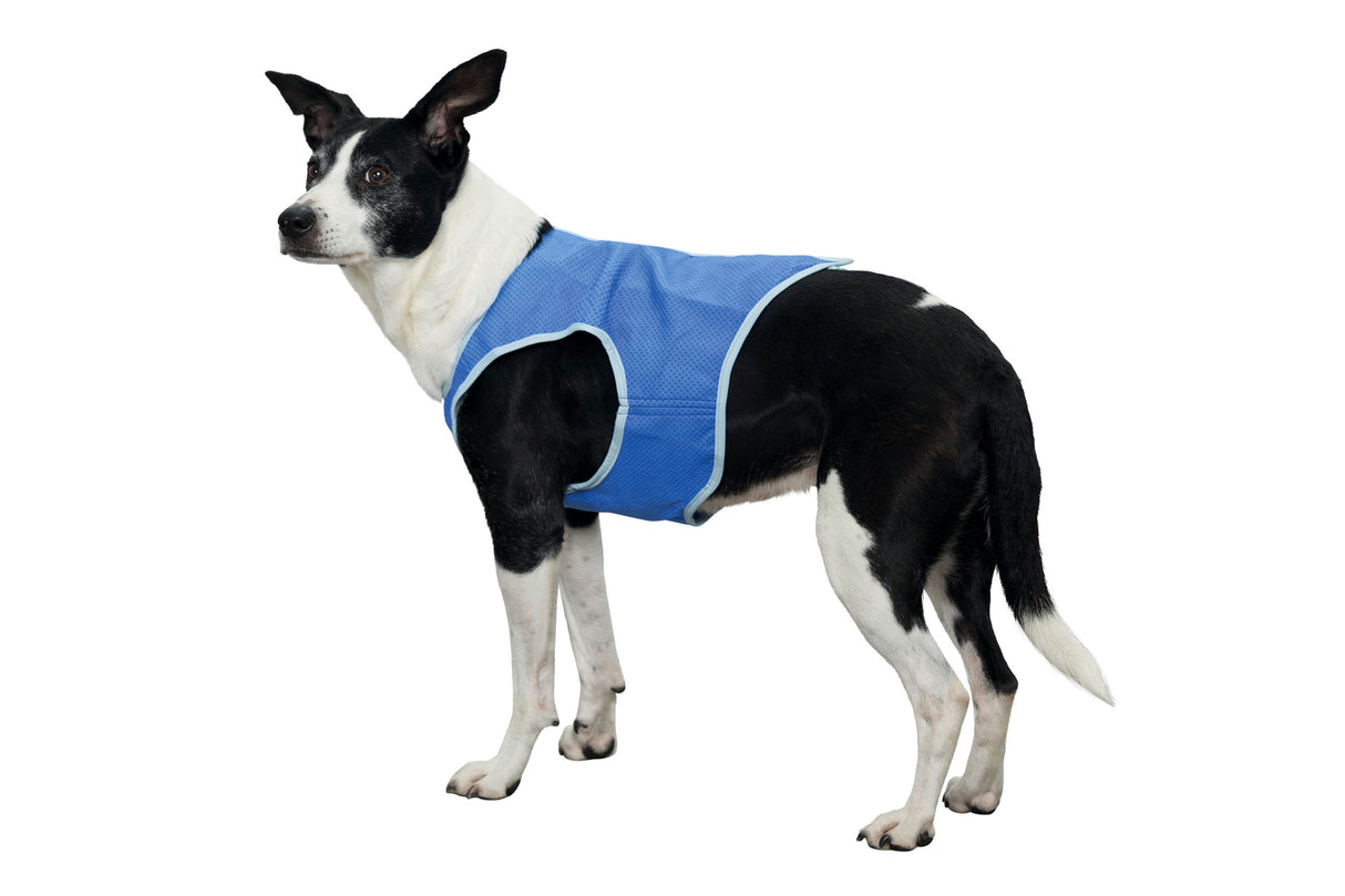 Dog Cooling Vest Trixie  XS - up to 20cm