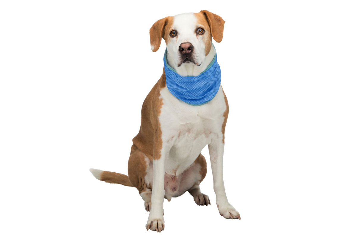 Dog Cooling Bandana Trixie  M, 28x40cm