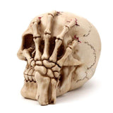 Ornament - Gruesome Skull Head with Skeleton Claw Hand (16cm)
