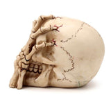 Ornament - Gruesome Skull Head with Skeleton Claw Hand (16cm)