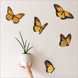 Vibrant Kiwiana Monarch butterfly wall art set, featuring five stunning designs on durable ACM material, ideal for any space.