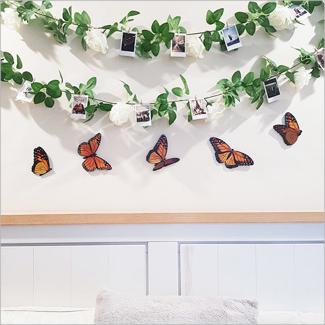 Vibrant Kiwiana Monarch Set featuring five butterfly designs on durable ACM, perfect for indoor and outdoor decor.