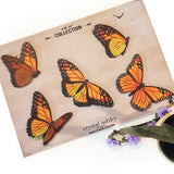 Vibrant Kiwiana Monarch butterflies printed on durable ACM, perfect for enhancing indoor or sheltered outdoor spaces.