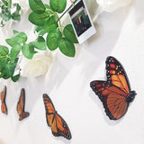 Vibrant Kiwiana Monarch Set featuring five beautifully printed butterflies on durable ACM, perfect for indoor or outdoor decor.