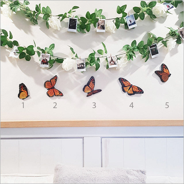 Vibrant Kiwiana Monarch butterfly wall art set printed on durable ACM, showcasing five unique butterfly designs for home decor.