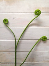 Artificial Koru Spray (Green)