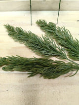 Artificial Real Touch Juniper Pine Pick (16cm)