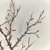 Artificial Twig Spray - 47cm (Brown White)