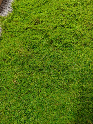 Artificial Moss Mat - 200 x 100cm (Green)
