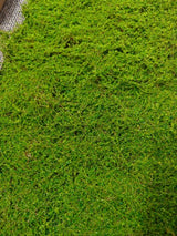 Artificial Moss Mat - 200 x 100cm (Green)