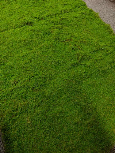 Artificial Moss Mat - 200 x 100cm (Green)